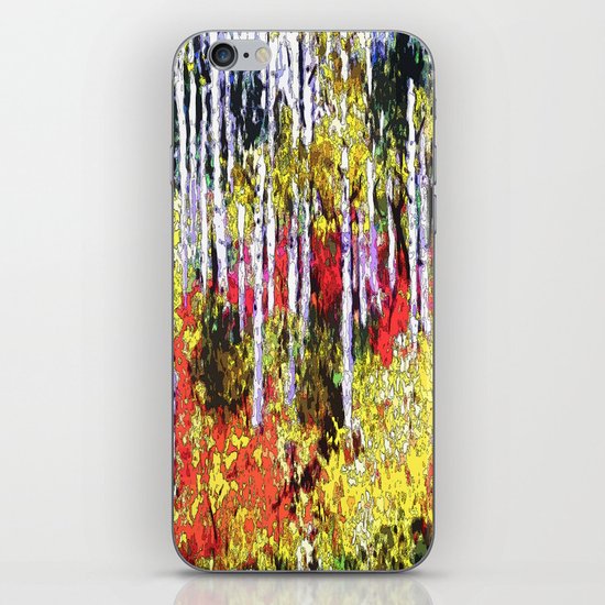 Glorious Colors iPhone & iPod Skin
