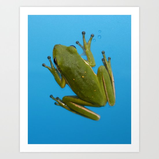 Tree Frog Art Print