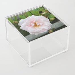 Cape Cod Flower III Acrylic Box