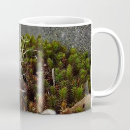 Dry Grass, Moss, and Rock Coffee Mug