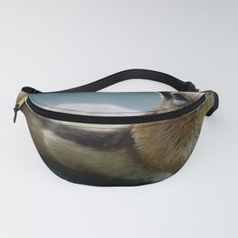 snoopy fanny pack