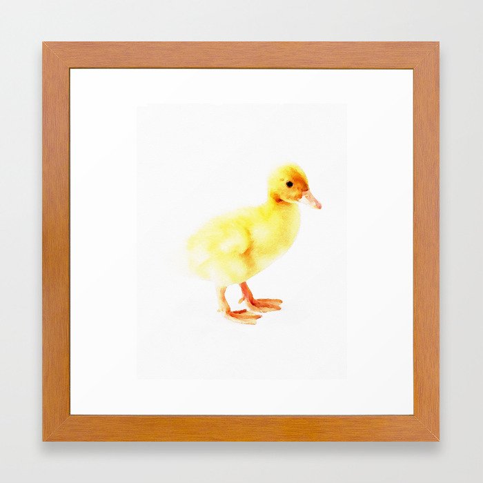 Duckling Watercolor Baby Duck Framed Art Print By Huntleigh Society6