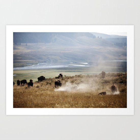 WHERE THE BUFFALO ROAM Art Print