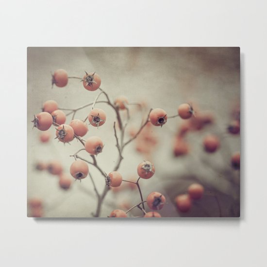 tiny apples Metal Print
