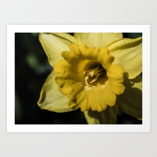 Pollenated Art Print