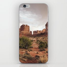 Desert Red Utah Rocks iPhone Skin