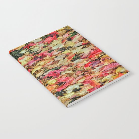 nature Notebook