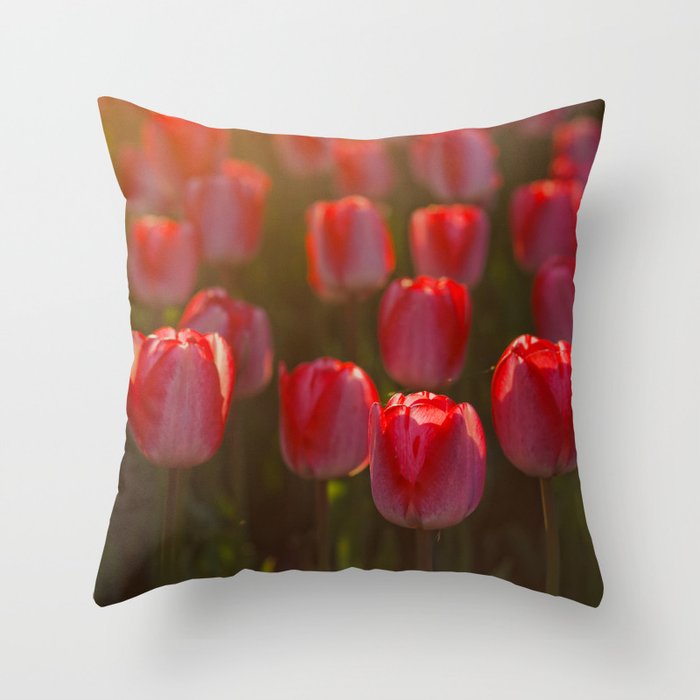 Tulips spring Throw Pillow