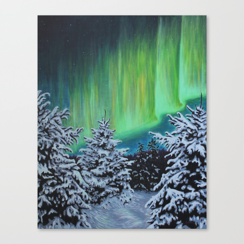 Northern Lights Algonquin Park Canvas Print By Cameronstevens