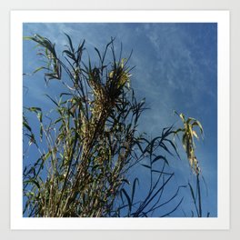 Nature and greenery 13 with reed Art Print