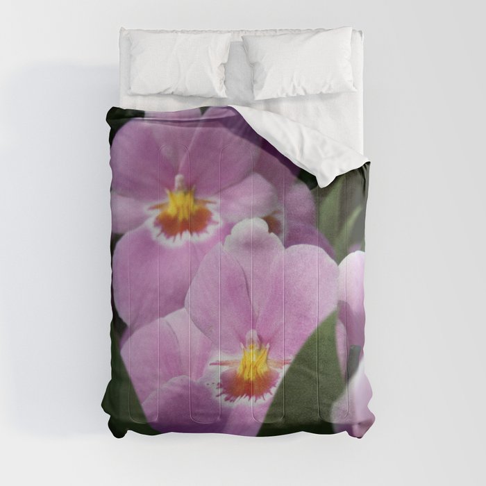 Tropical Flowers Orchids Comforter