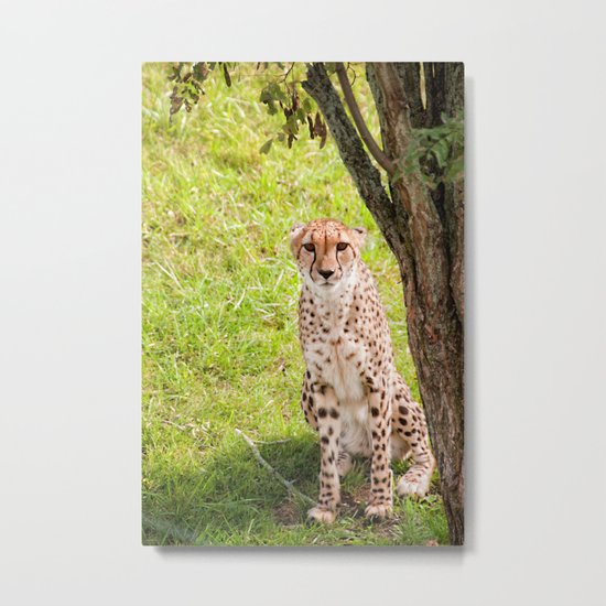 Hey Kitty Metal Print