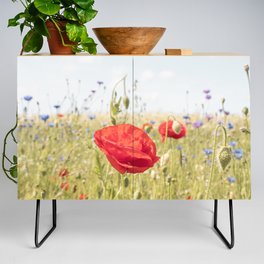 Wildflower Field | Poppy Flower in a Garden in Holland Art Print | Floral Summer Photography Credenza