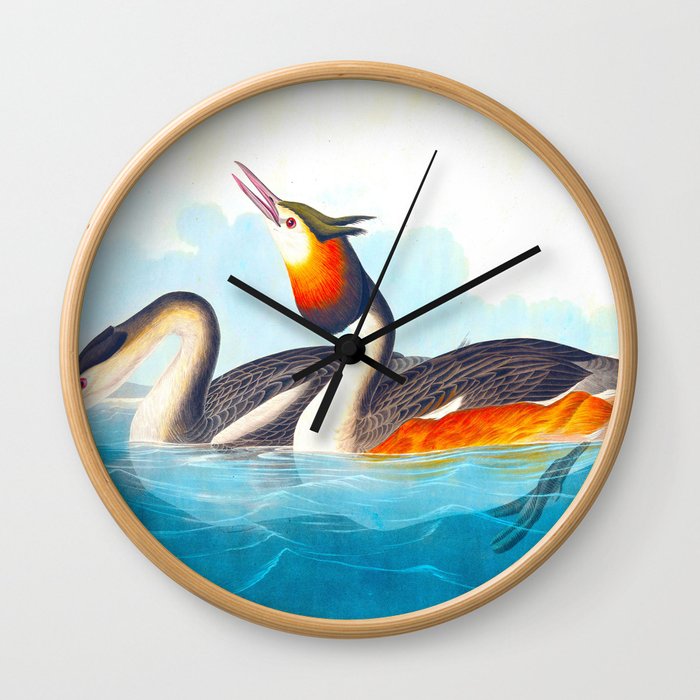 Great Crested Grebe Bird Wall Clock
