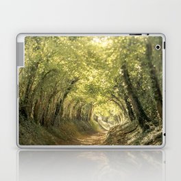 Tunnel of Trees Summer Series #3 Laptop Skin
