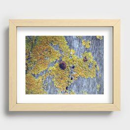 Yellow Moss Recessed Framed Print