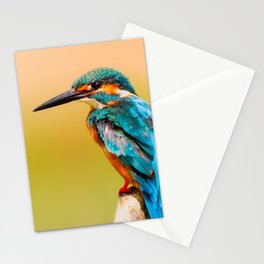 Radiant Bird Stationery Cards