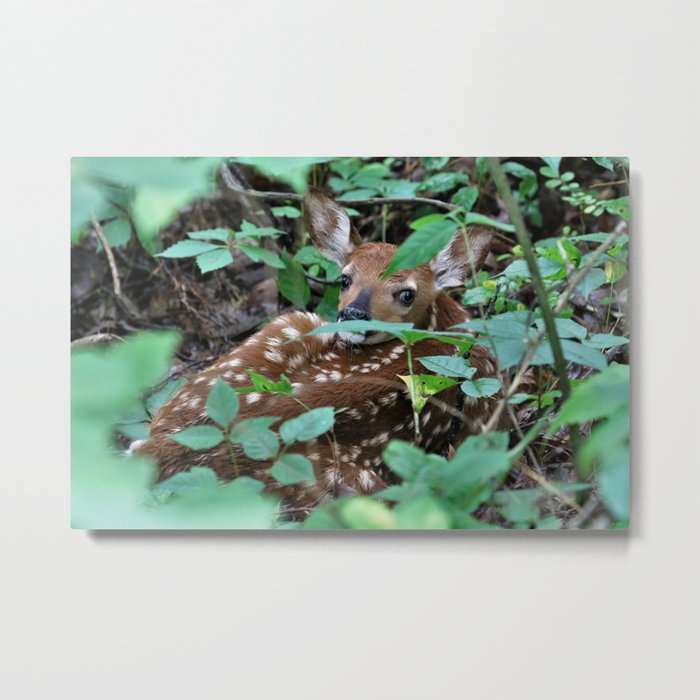 Spotted! Metal Print