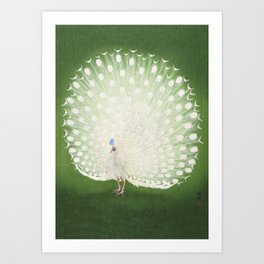 Marvellous Peacock - Vintage Japanese woodblock print Art Art Print