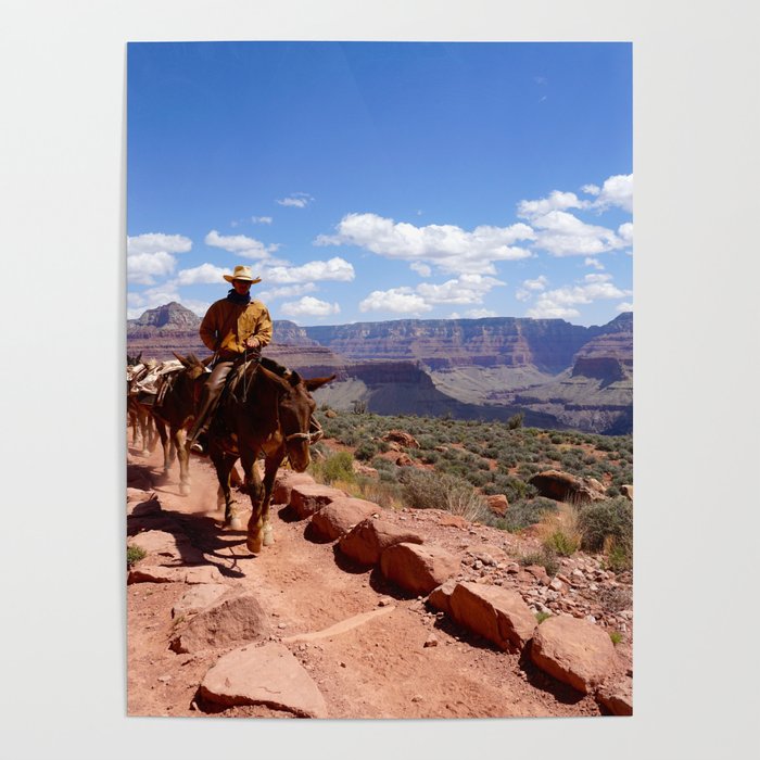 Grand Canyon Cowboy Poster