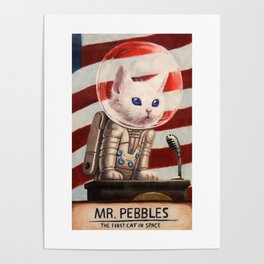 Mr PEBBLES - High Quality Poster