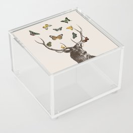 The Stag and Butterflies | Deer and Butterflies | Vintage Stag | Vintage Deer | Antlers | Woodland | Acrylic Box