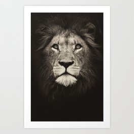Portrait of a lion king - monochrome photography illustration Art Print