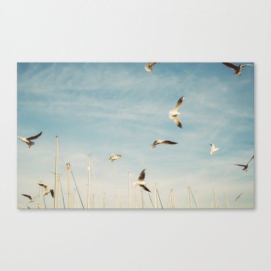 Seagulls Flying In The Sky Canvas Print