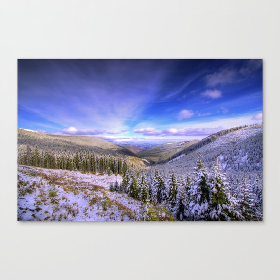 Winter Lands II Canvas Print