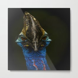 The Cassowary Metal Print | Wild, Hornedbird, Lagrebird, Nature, Flightlessbird, Nationalbird, Blue, Animal, Horn, Bird 