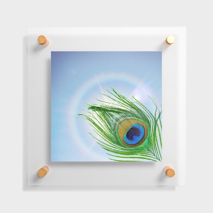 Peacock plume Floating Acrylic Print