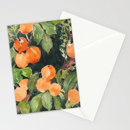 Apricot Bliss Stationery Cards