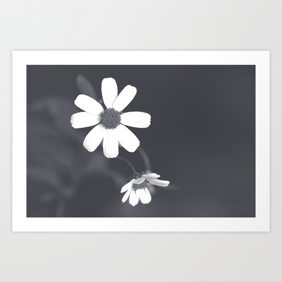 Late Bloomers Art Print