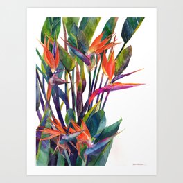 Pencil Drawing Art Prints For Any Decor Style Society6
