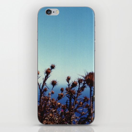 Sun-Bleached Blossom iPhone & iPod Skin