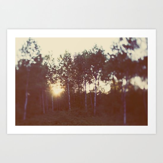Silent Birch Art Print