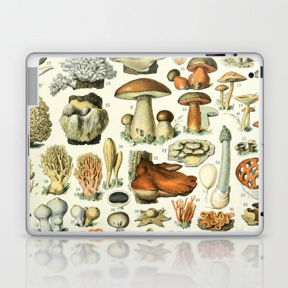 Mushrooms 2 by Adolphe Millot Laptop & iPad Skin