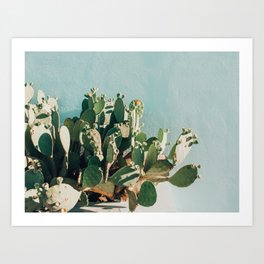 Prickly pear cactus in Marfa, West Texas Art Print | Desert, Midcentury, Floral, Agave, Prickly, Cactus, Boho, Blue, Film, Texas 
