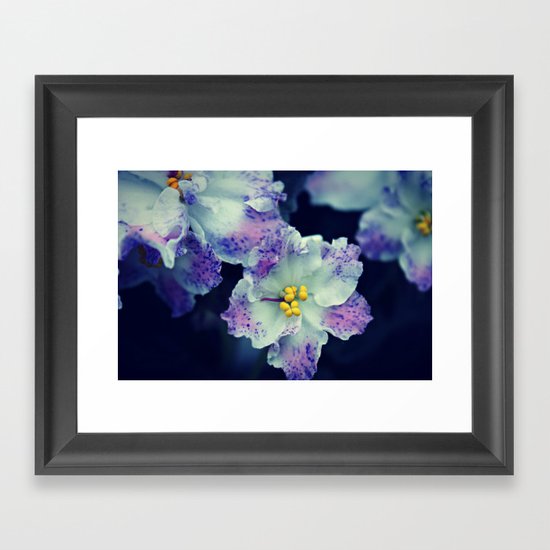 Spring Flower 09 Framed Art Print