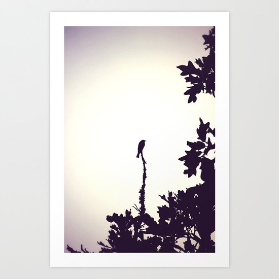 Music of the Night Art Print