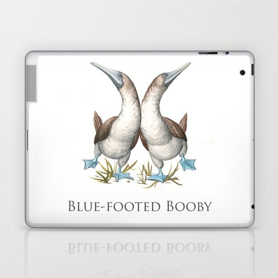 Blue-footed Booby (Sula nebouxii) Laptop & iPad Skin