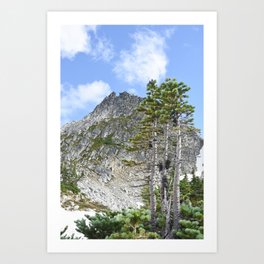 Alpine Summit Mountain Hiking Trail Adventure Outdoors Nature Washington Pacific Northwest Forest Landscape  Art Print