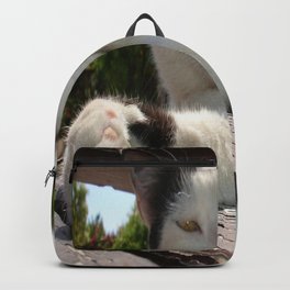 Black and White Bicolor Cat Lounging on A Park Bench Backpack | Animal, Photo 