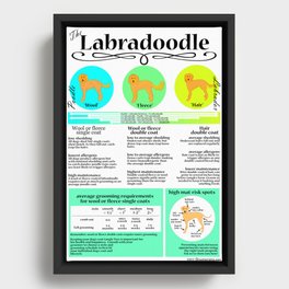Labradoodle Coat & Grooming Infographic Framed Canvas