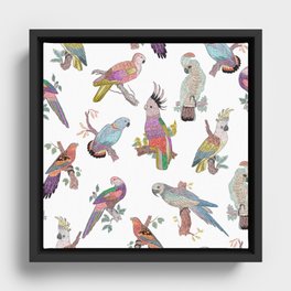 Birds Framed Canvas