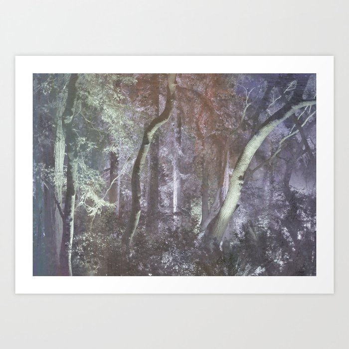forest tale Art Print