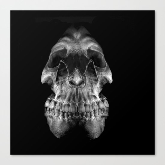 Skully Canvas Print