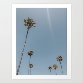 palm trees lxxxv / san diego, california Art Print