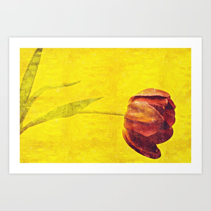 Red Tulip On Yellow Background Oil Paint Art Print By Pavelmata