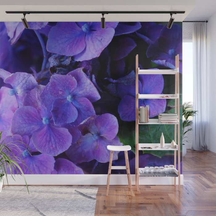 Purple Hydrangeas Wall Mural